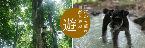 遊　日常から離れ自然と遊ぶ