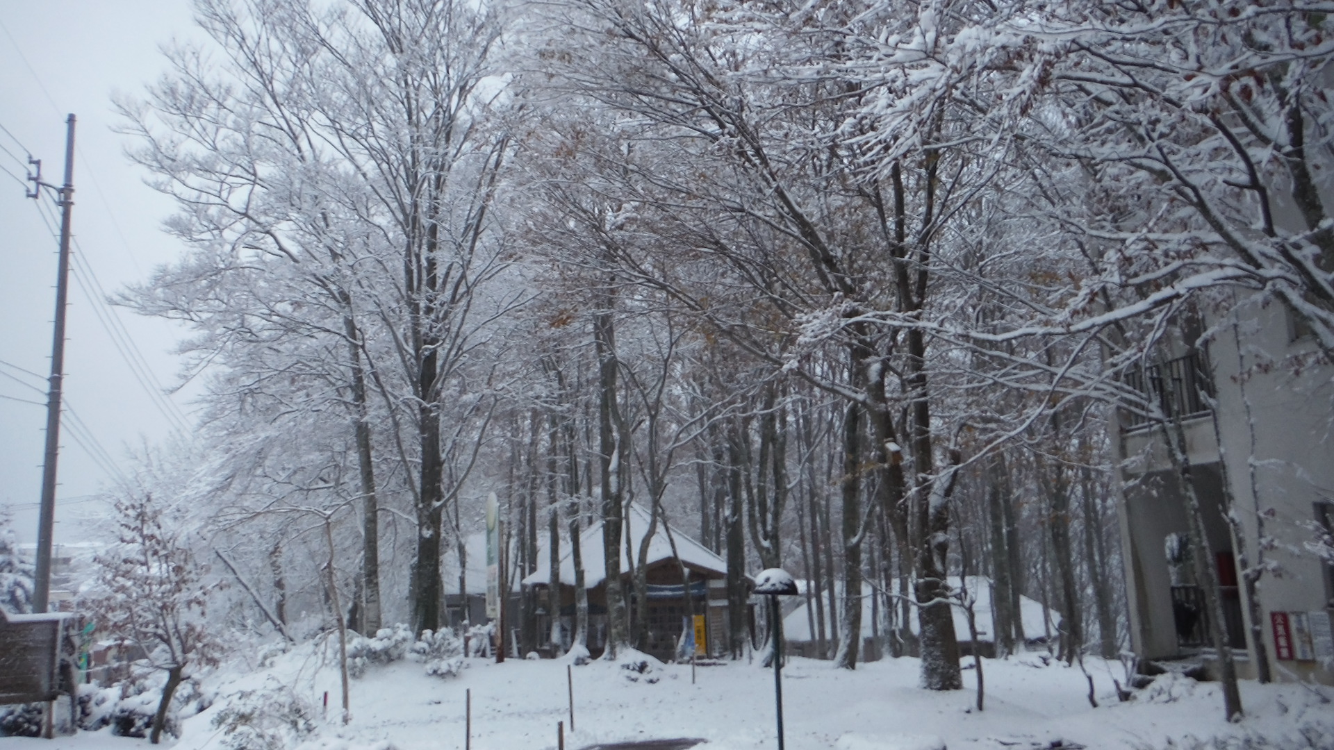 DSCF1410